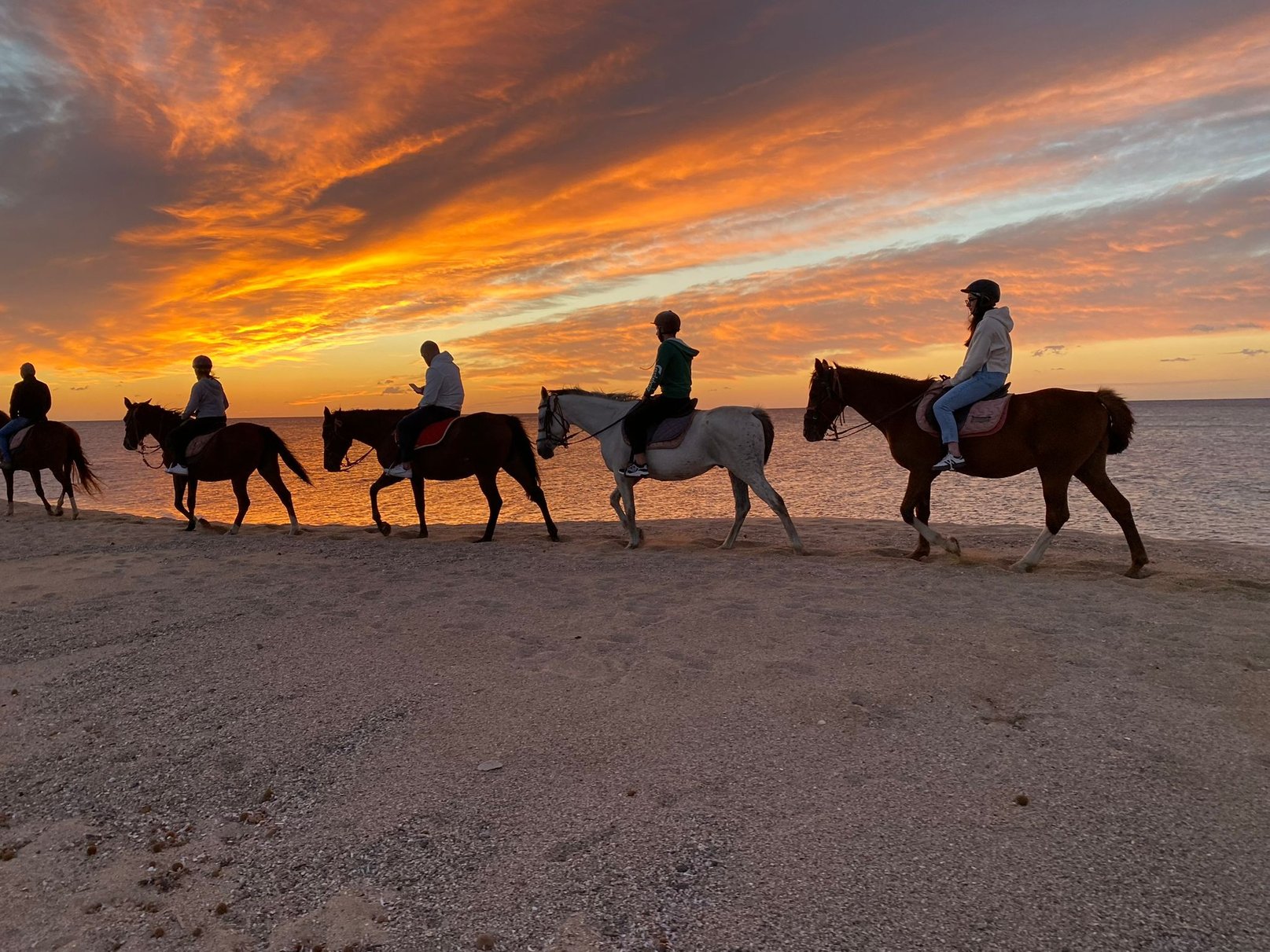 HORSEBACK RIDING IN THE GULF OF OROSEI