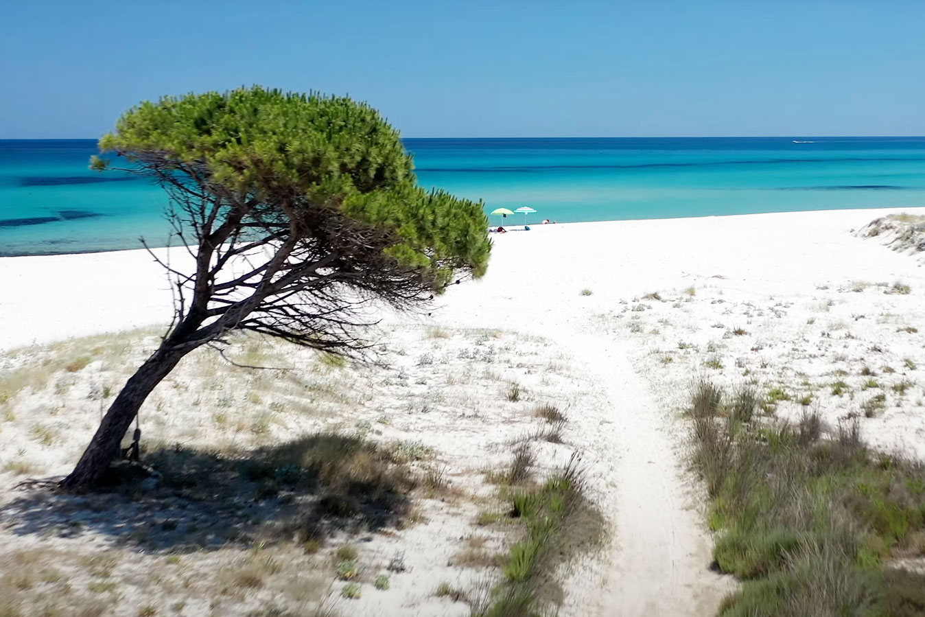 [Rena Blanca]  APT Luxury A 200MT Dal Mare