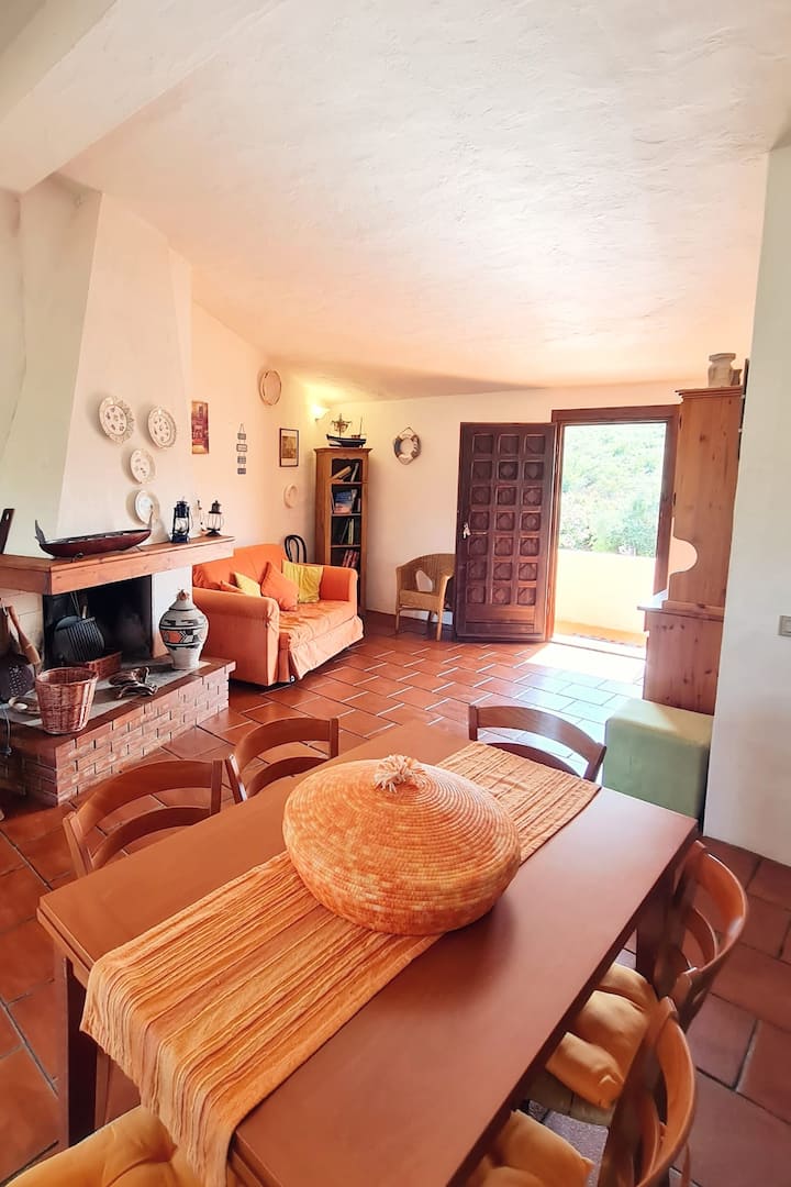 [1min Spiaggia] Terrazza Vista Pineta | Free Park